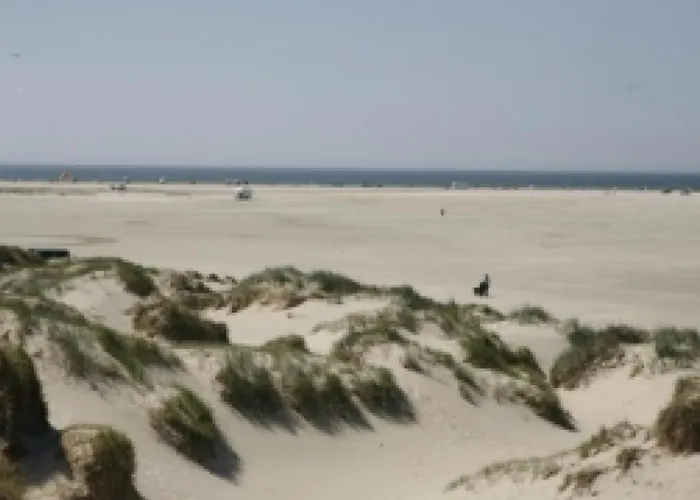 Villavilla 624 - Romo, Sydjylland Kongsmark